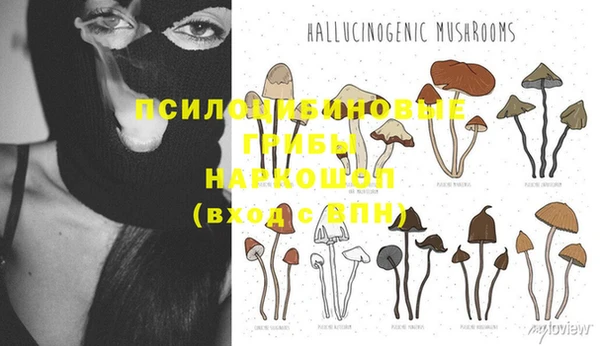 прущие крисы Абдулино